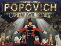  Comedy Pet Theater 